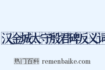 汉金城太守殷君碑反义词是什么意思的图片